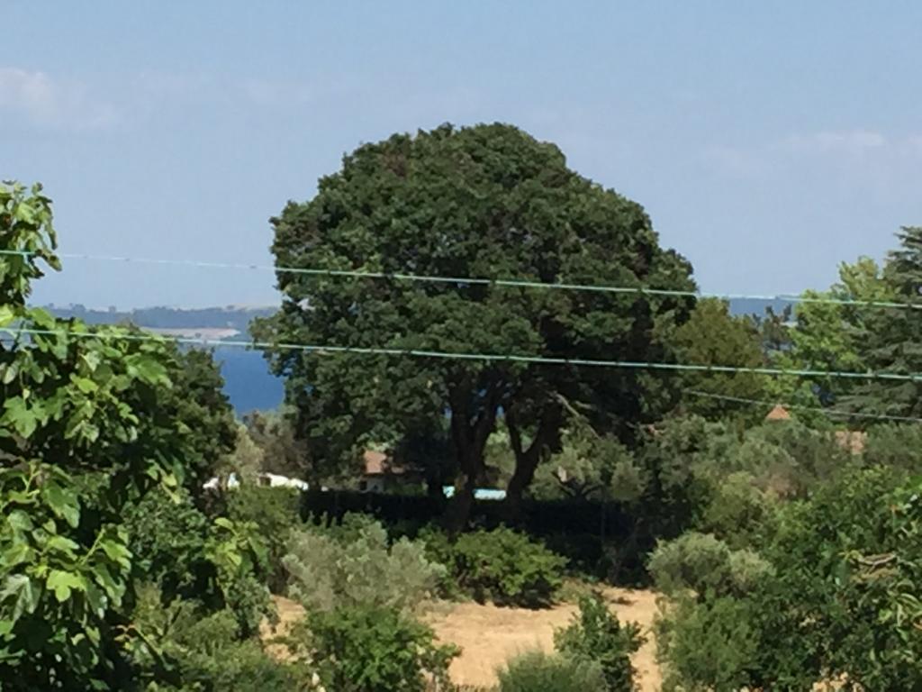 Eco Home Bracciano  Exterior photo